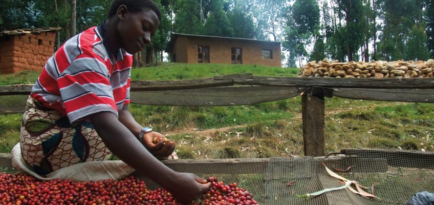 L’oro nero del Burundi