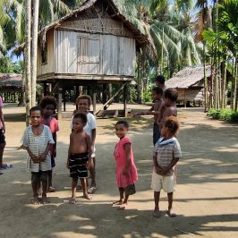 Papua Nuova Guinea, paradiso minacciato