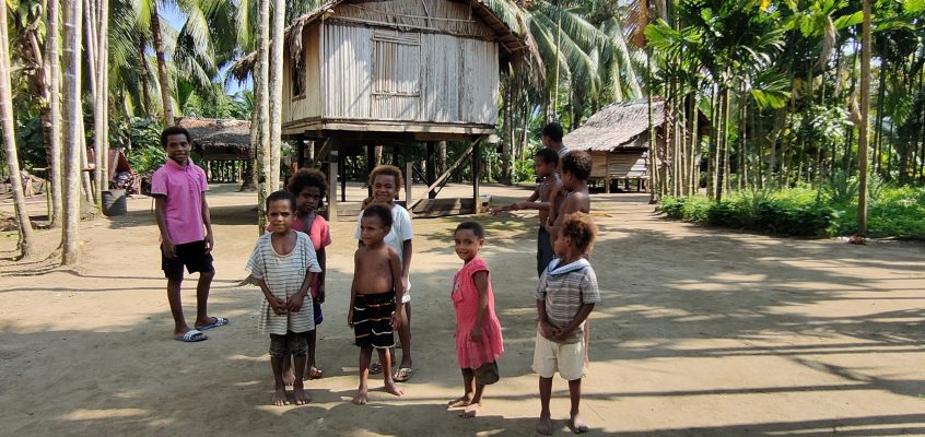 Papua Nuova Guinea, paradiso minacciato