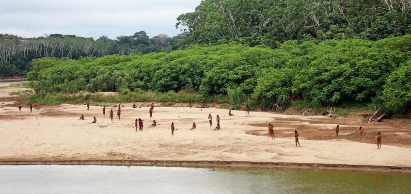 Amazzonia: salvi (per ora) i mashco piro