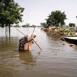 Nigeria: Maiduguri finisce sott’acqua